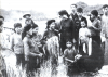 Chủ tịch Hồ Chí Minh thăm xã Nam Cường, Tiền Hải, Thái Bình năm 1962