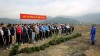 TKV hưởng ứng Tết trồng cây 2018