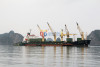 Bốc rót, tiêu thụ than tại cảng Hòn Nét - Con Ong (TP Cẩm Phả).