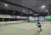 Thông báo tổ chức Giải Pickleball phong trào năm 2026