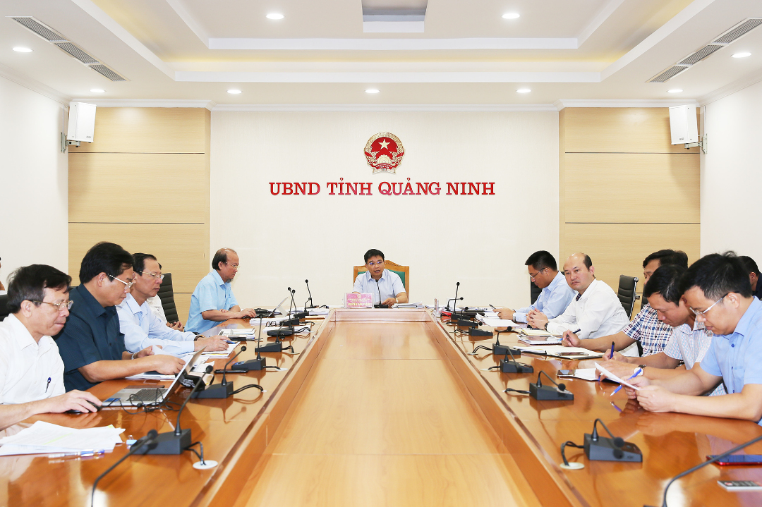 Đồng chí Nguyễn Văn Thắng - Phó Bí thư Tỉnh ủy, Chủ tịch UBND tỉnh, chủ trì cuộc họp.