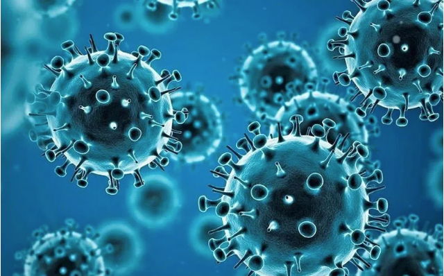 Dịch bệnh Covid và các dịch bệnh truyền nhiễm khác có nguy cơ bùng phát
